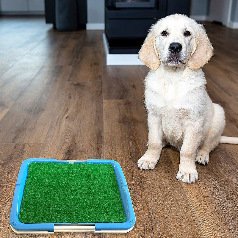 Portable Puppy Pet Toilet - Pet Care > Dog Supplies
