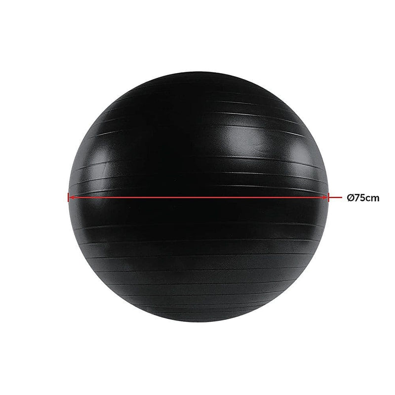 75cm Static Strength Exercise Stability Ball with Pump - 